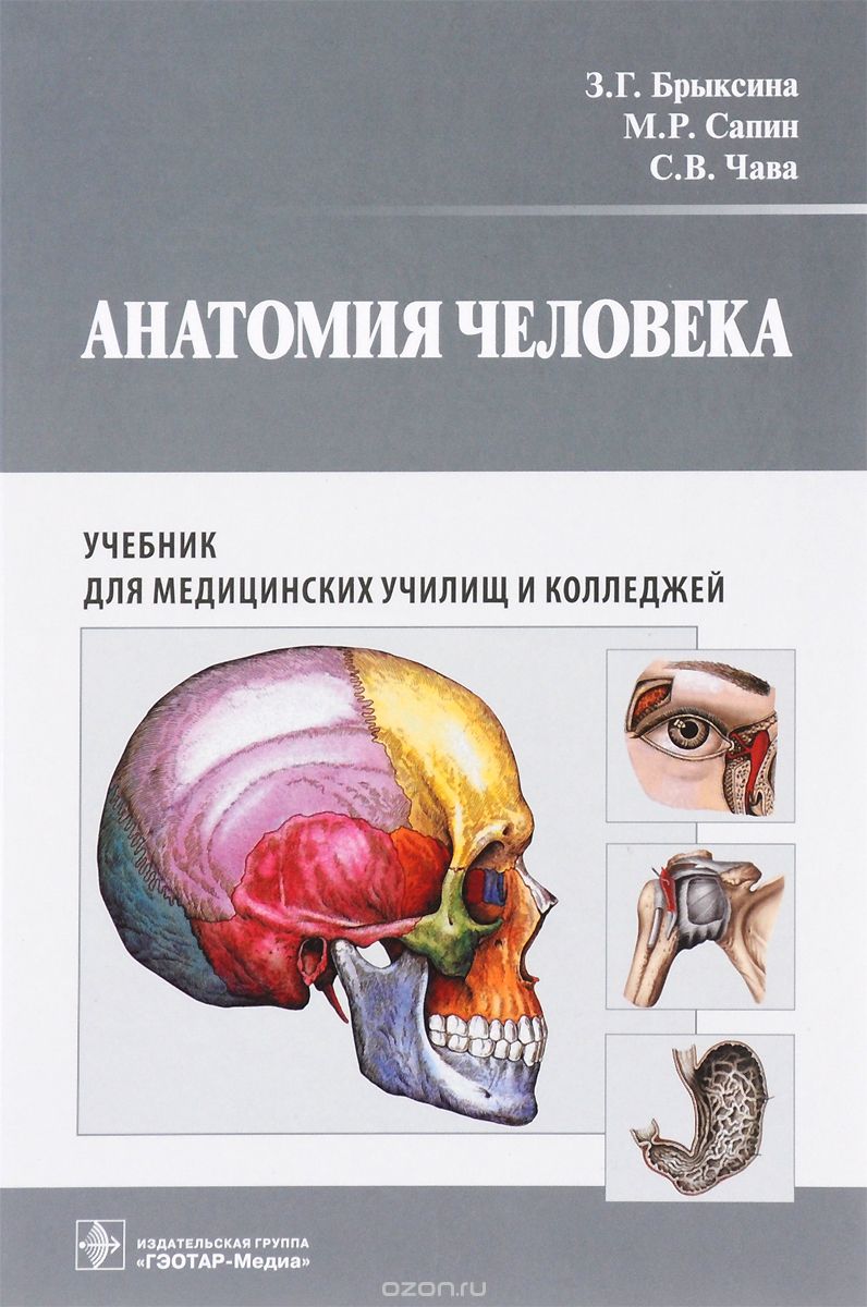 Скачать книгу "Анатомия человека. Учебник, З. Г. Брыксина, М. Р. Сапин, С. В. Чава"