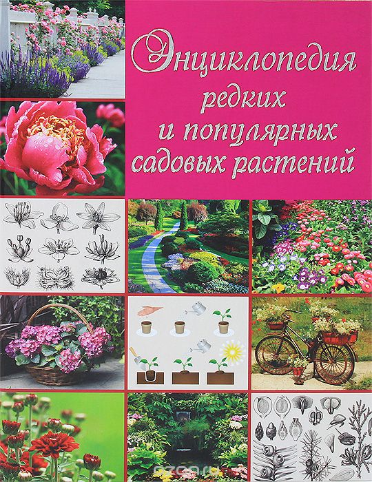 Энциклопедия редких и популярных садовых растений, О. В. Яковлева
