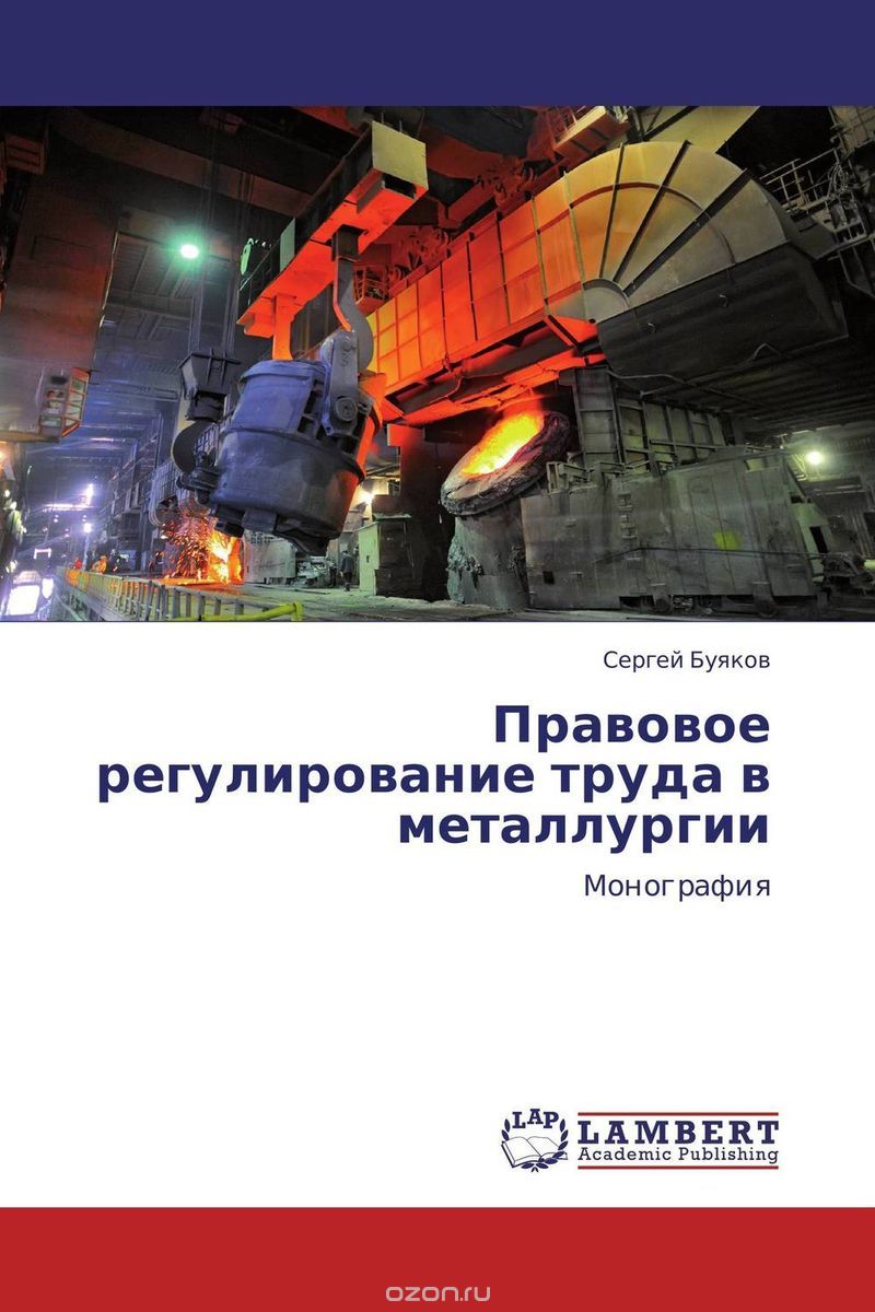 Правовое регулирование труда в металлургии, Сергей Буяков
