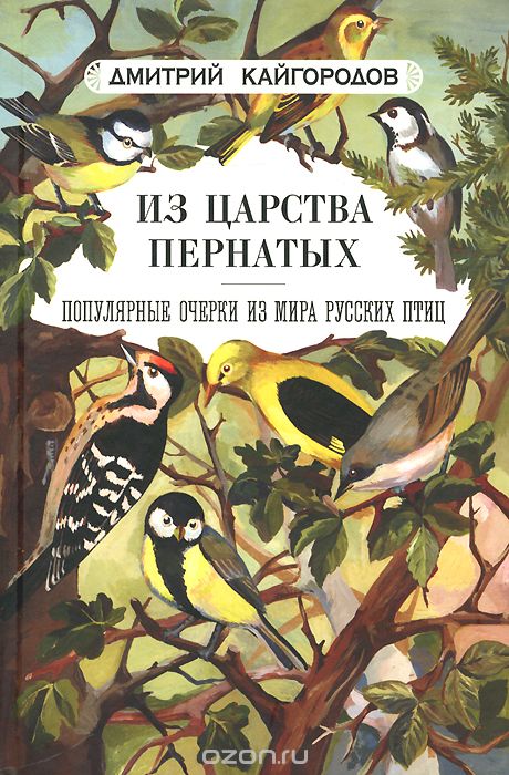 Из царства пернатых. Популярные очерки из мира русских птиц, Дмитрий Кайгородов