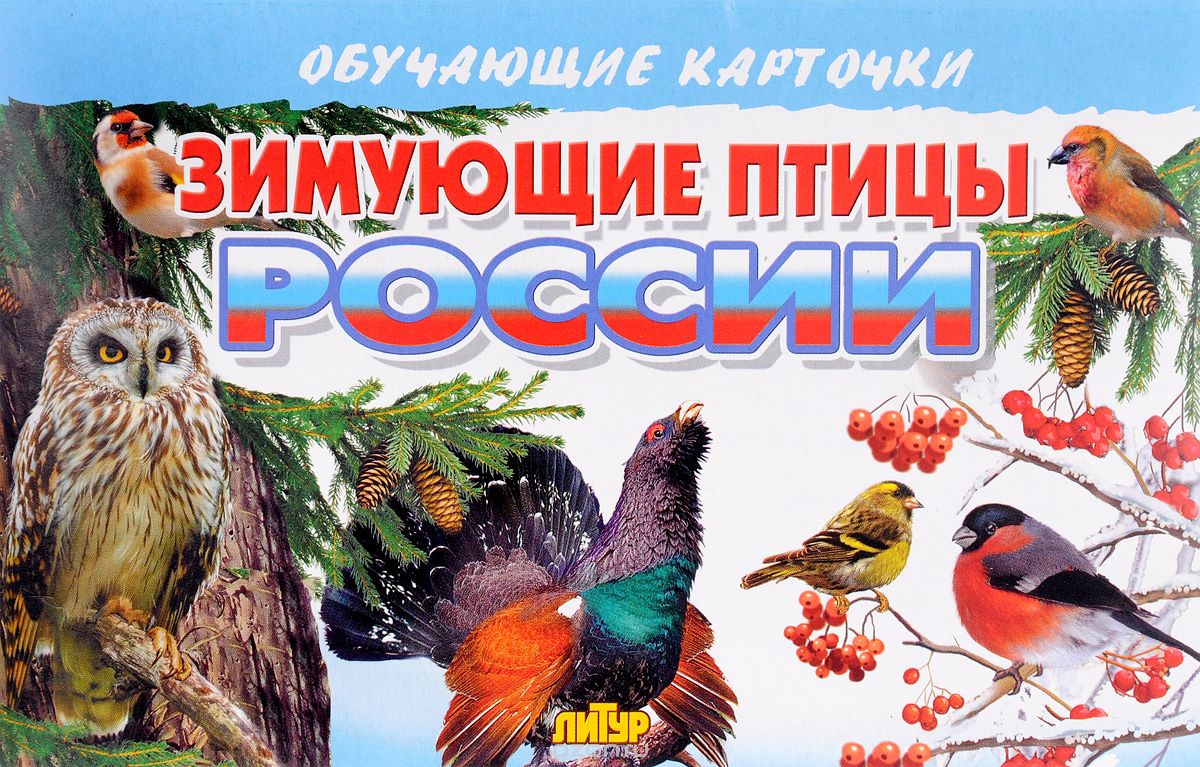 Литур.Обуч.карт.Зимующие птицы России (3+)