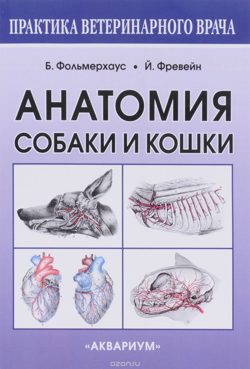 Скачать книгу "Анатомия собаки и кошки"