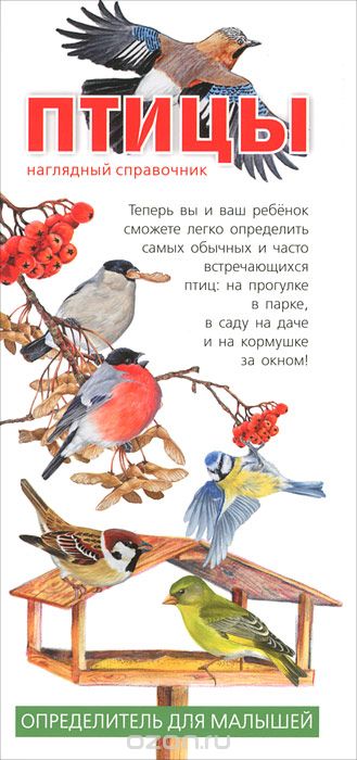 Птицы. Наглядный справочник