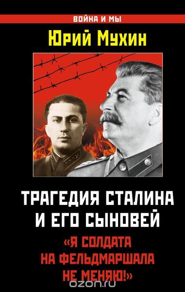 Скачать книгу "Трагедия Сталина и его сыновей. "Я солдата на фельдмаршала не меняю!", Юрий Мухин"