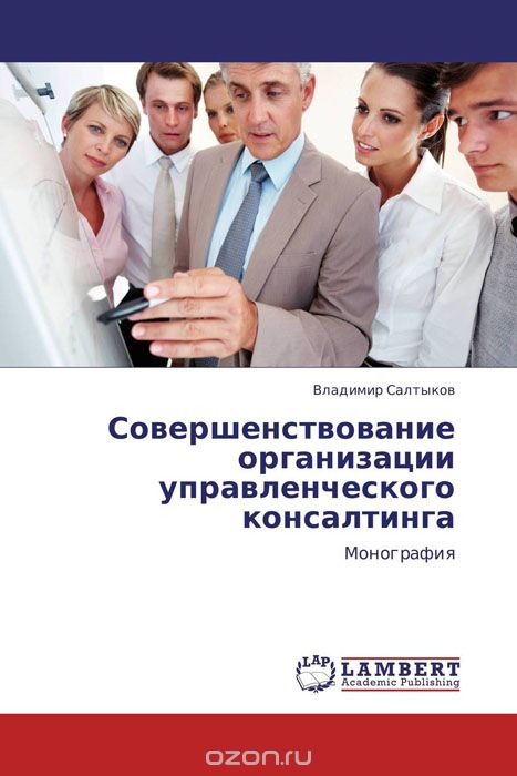 Совершенствование организации управленческого консалтинга, Владимир Салтыков