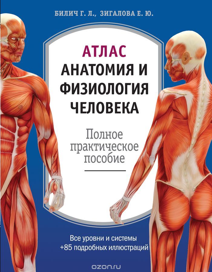 Атлас. Анатомия и физиология человека, Билич Г.Л., Зигалова Е.Ю.