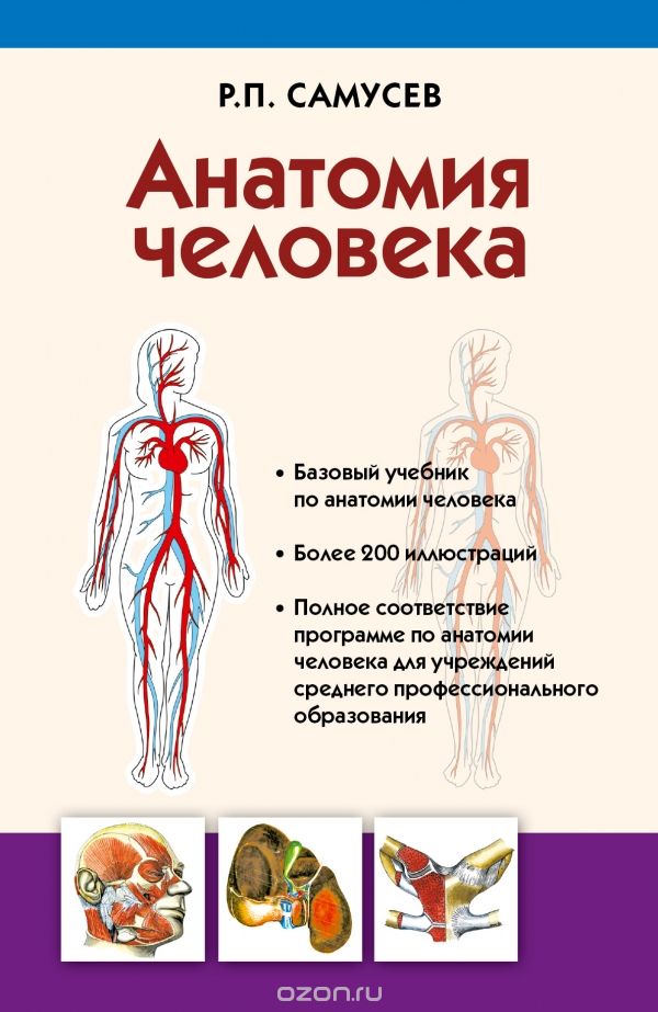 Скачать книгу "Анатомия человека. Учебник, Самусев Р.П."