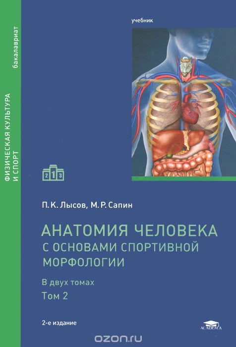 Скачать книгу "Анатомия человека (с основами спортивной морфологии). Учебник. В 2 томах. Том 2, П. К. Лысов, М. Р. Сапин"