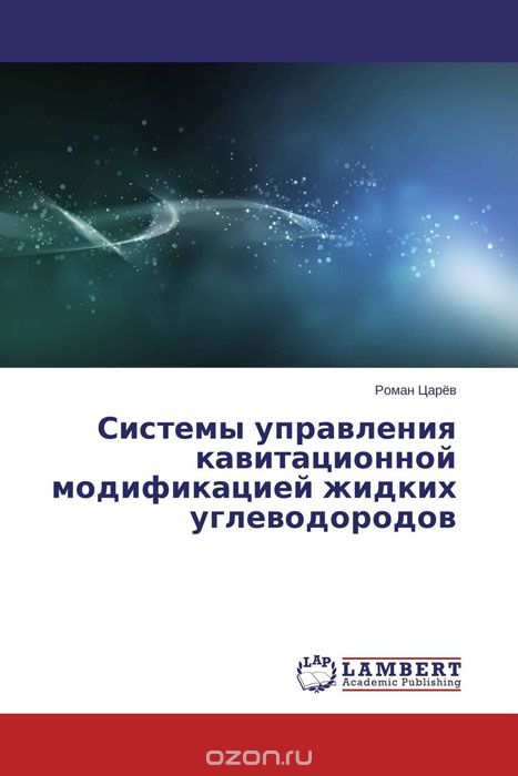 Системы управления кавитационной модификацией жидких углеводородов, Роман Царёв